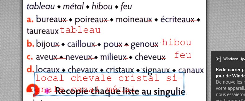 Sans titre 1.jpg